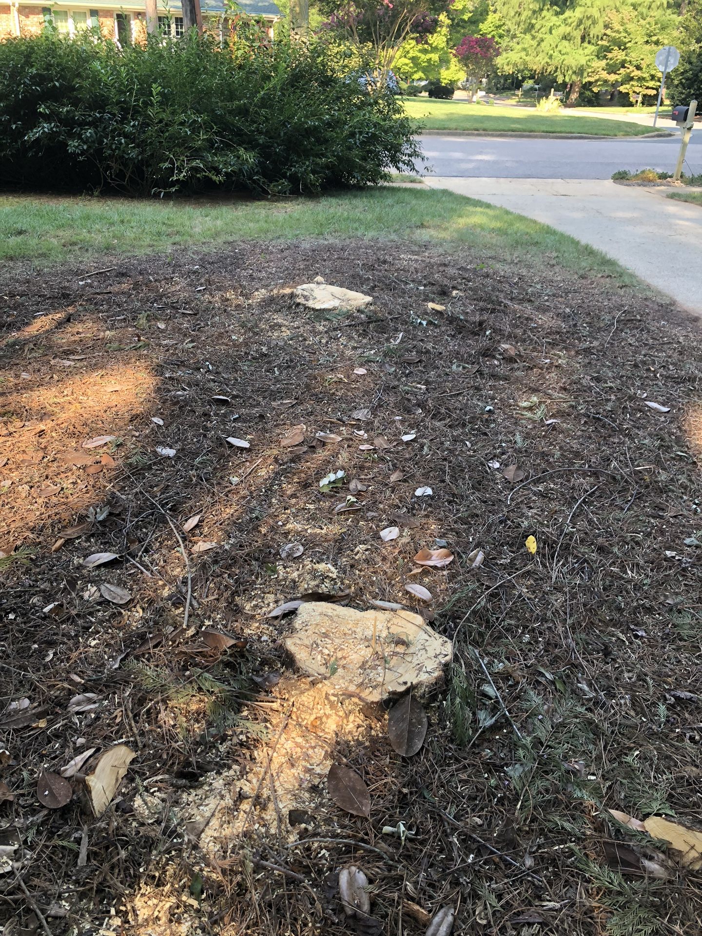 Stump Removed,Se Muelen Troncos