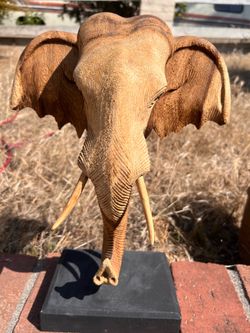 Wood carved elephant 🐘 head