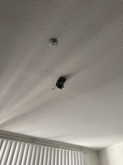 Ceiling fan