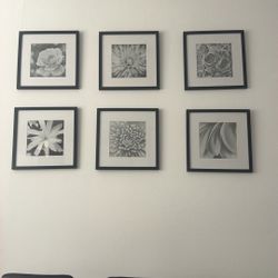 6 Cuadros 