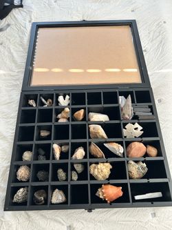 Mounted Rock and Mineral Display Case