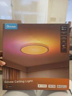 Govee Ceiling Light 12 inch Indoor