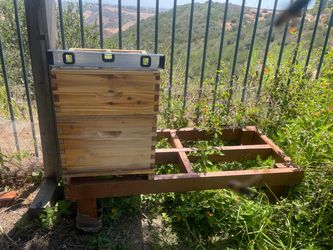 🐝 COLONIA DE ABEJAS GRATIS / FREE BEE COLONY 🐝