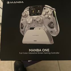 THE MANBA ONE