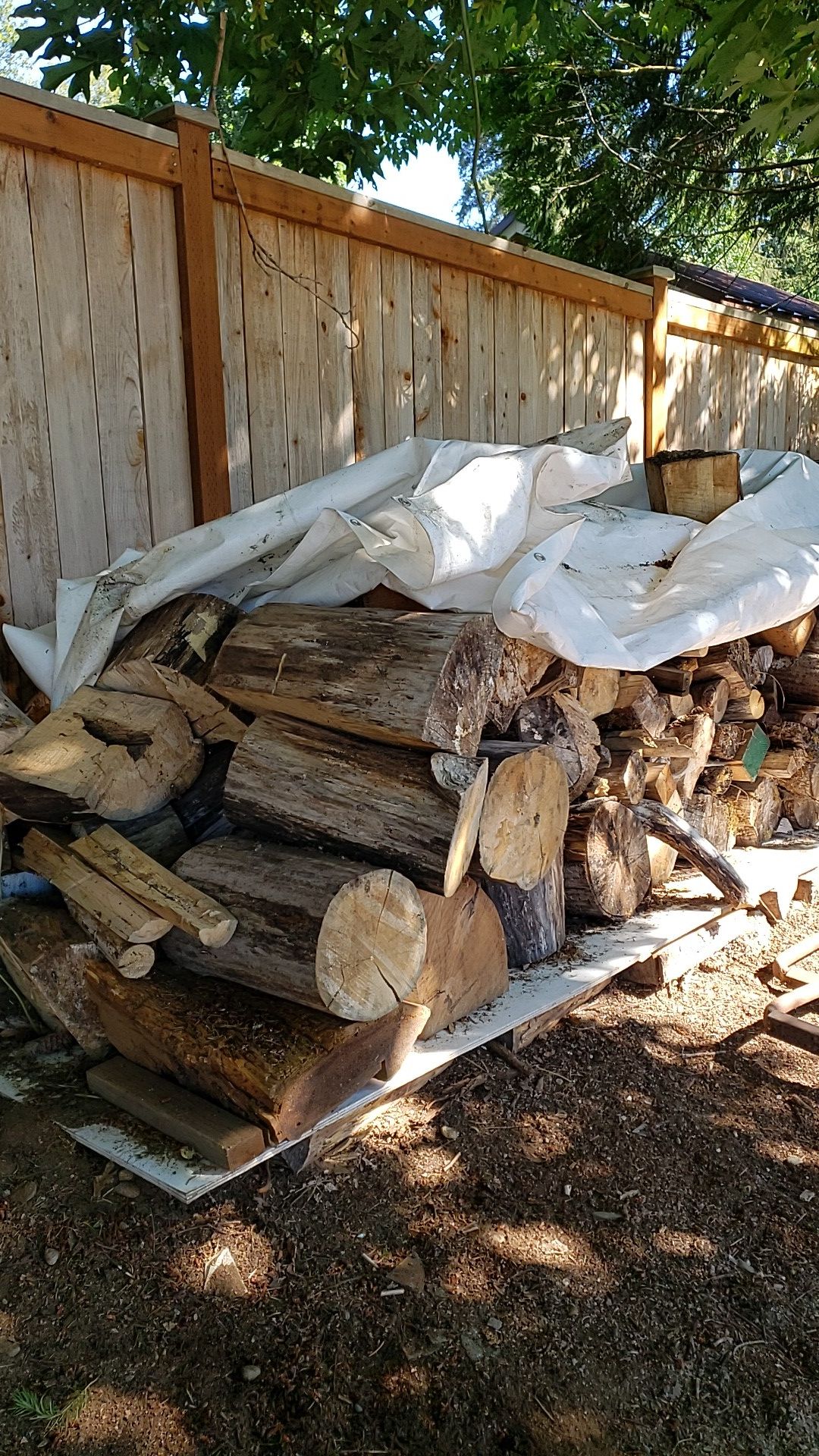 Dry Fire wood split and rounds $100.00 obo. Woodinville Wa