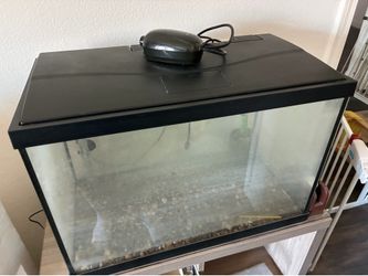 20 Gal Fish tank with air pump