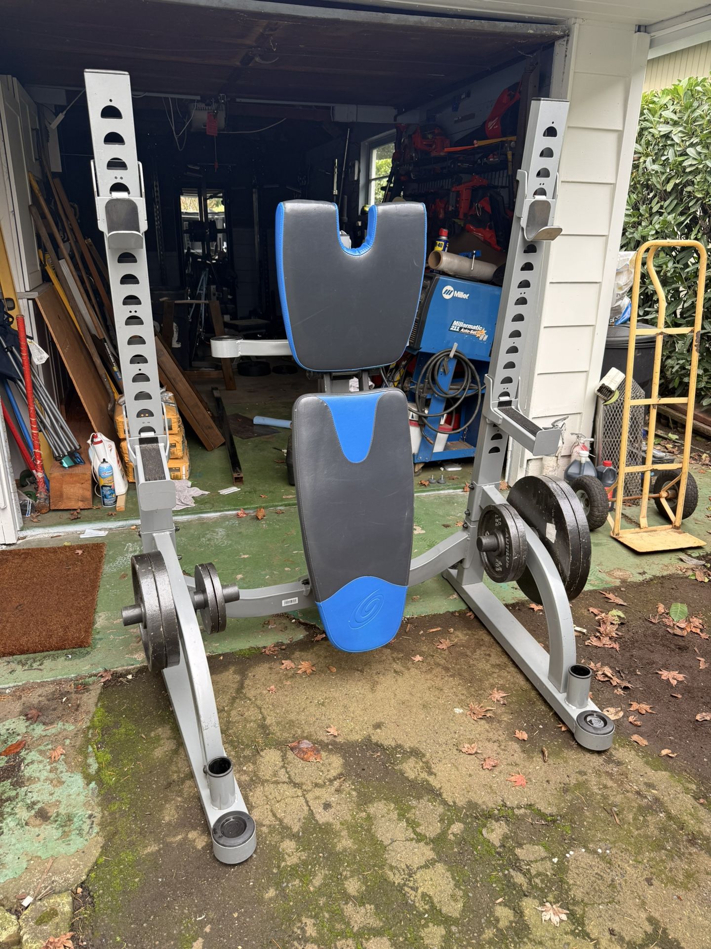 Nautilus Folding Bench & Squat Rack + Weights