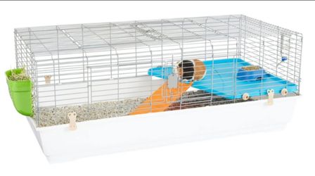 Guinea Pig Cage
