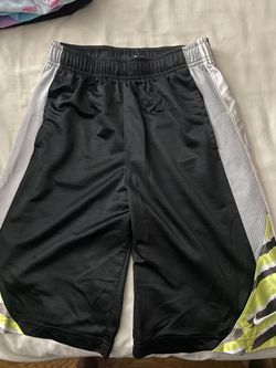 Nike shorts size Large (Long shorts)