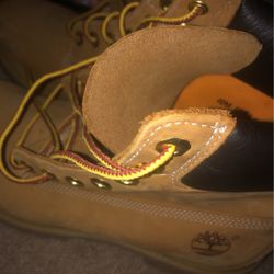 Timbs Size 10