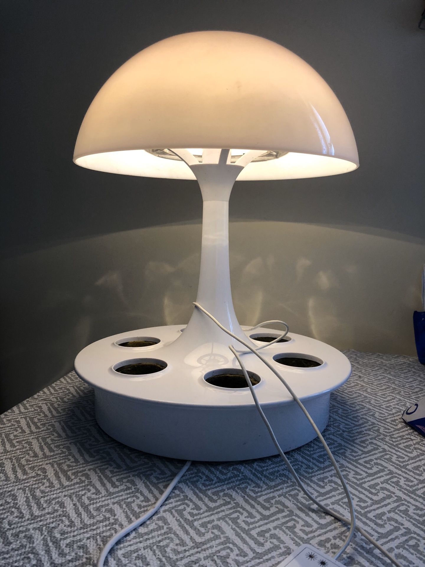Green life Table Lamp