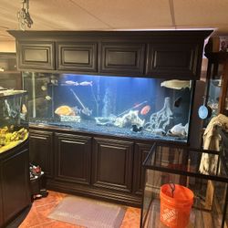 265 Gal 7 Ft Fish Tank