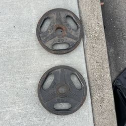 TSA 25 Pound Plates (2)