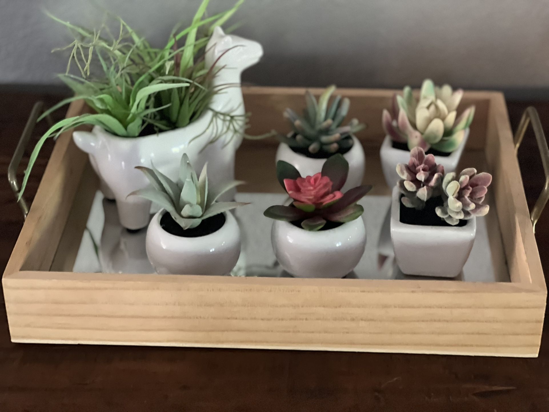 Mirrored Tray With Faux Potted Succulents