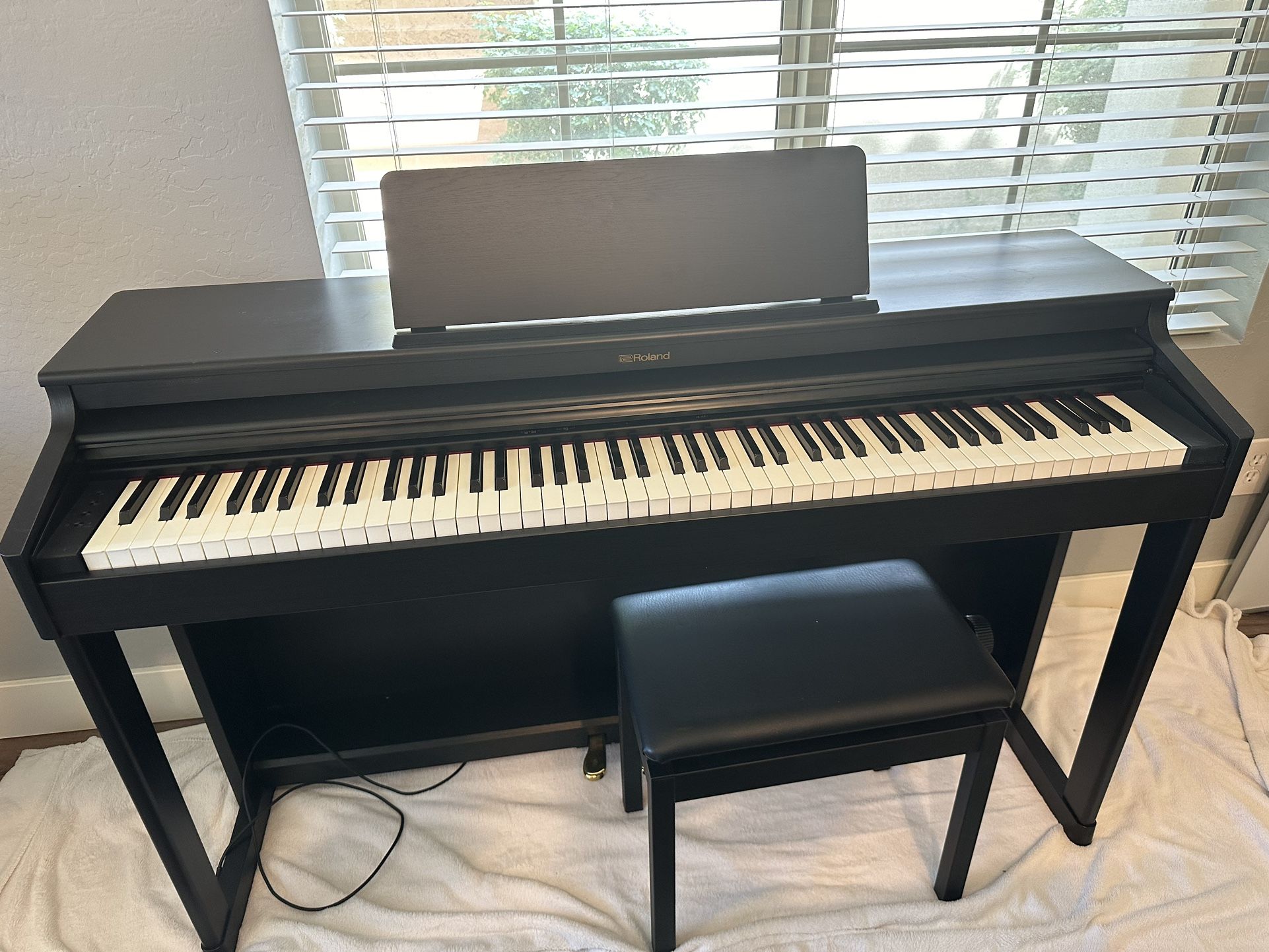 Roland RP750