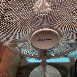 Pelonis 16"IN Fan