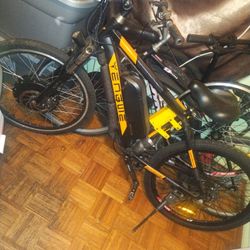 Electric Bike 