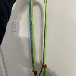 Dog Leashes