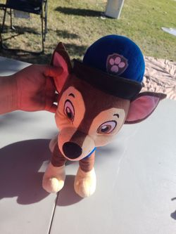 Paw patrol
