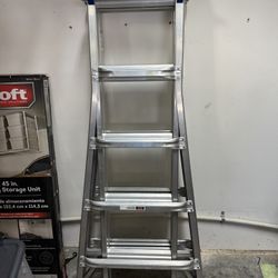 Werner Extendable Ladder $100
