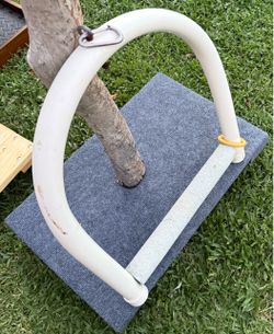 X large parrot swing