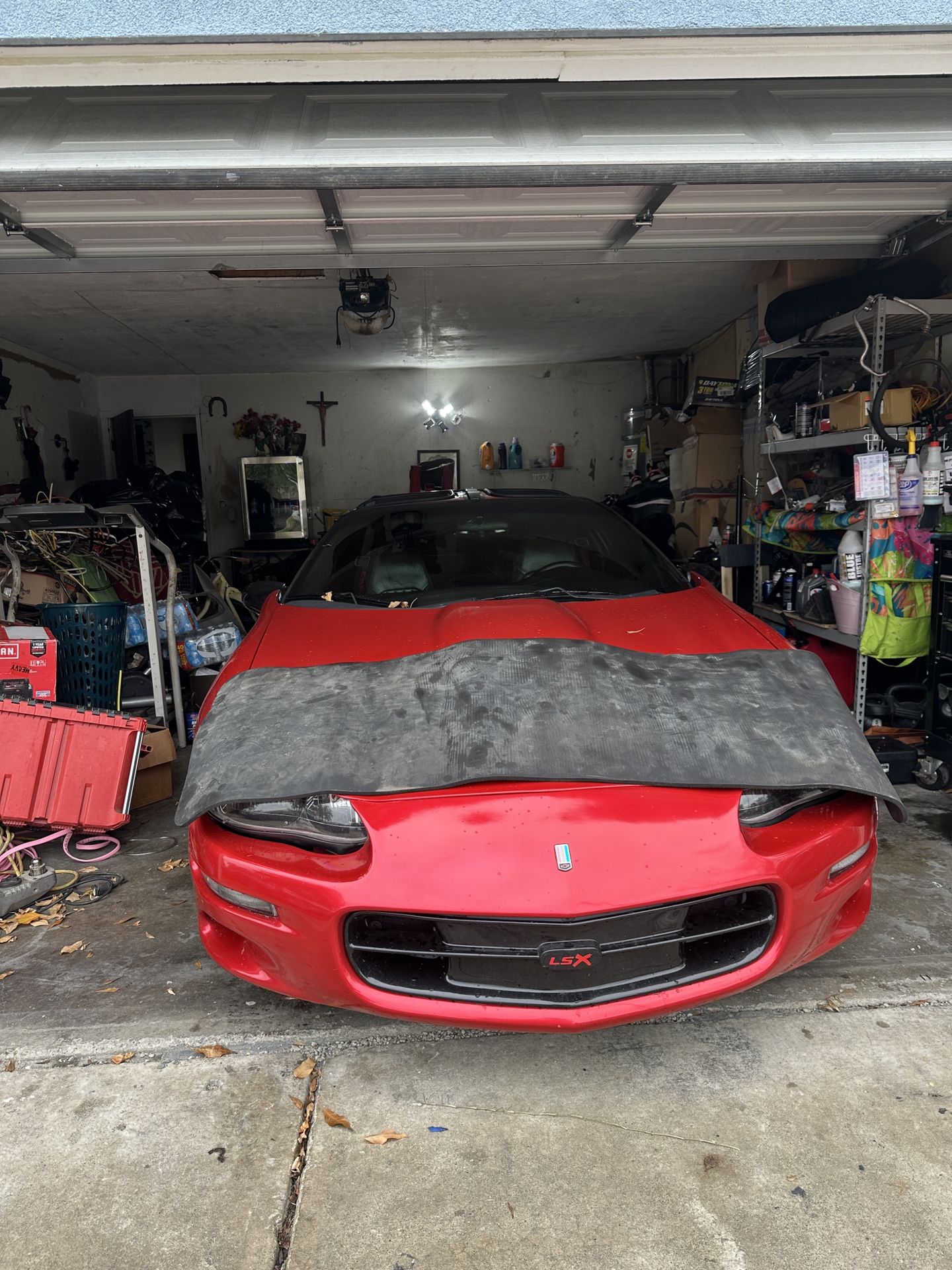Windshield Seals