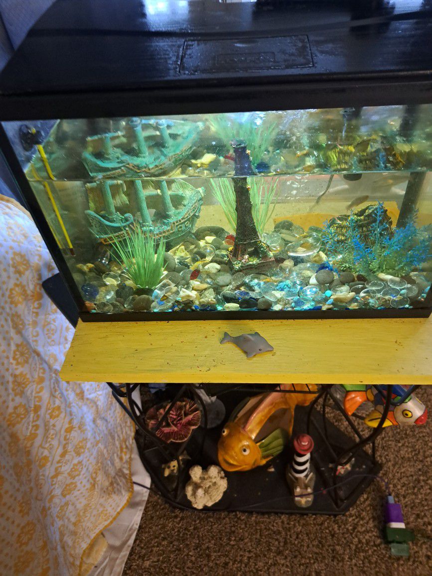 5 Gallon Fish Tank And Stand