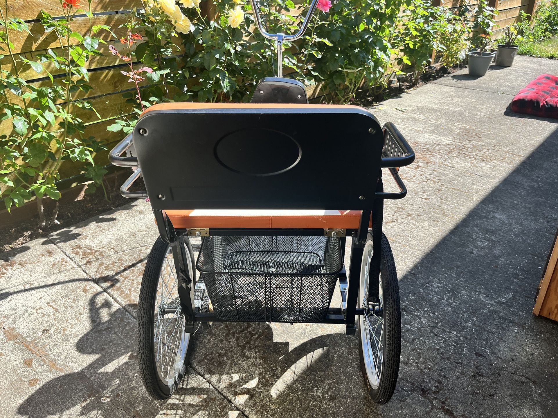 Bike 2seat