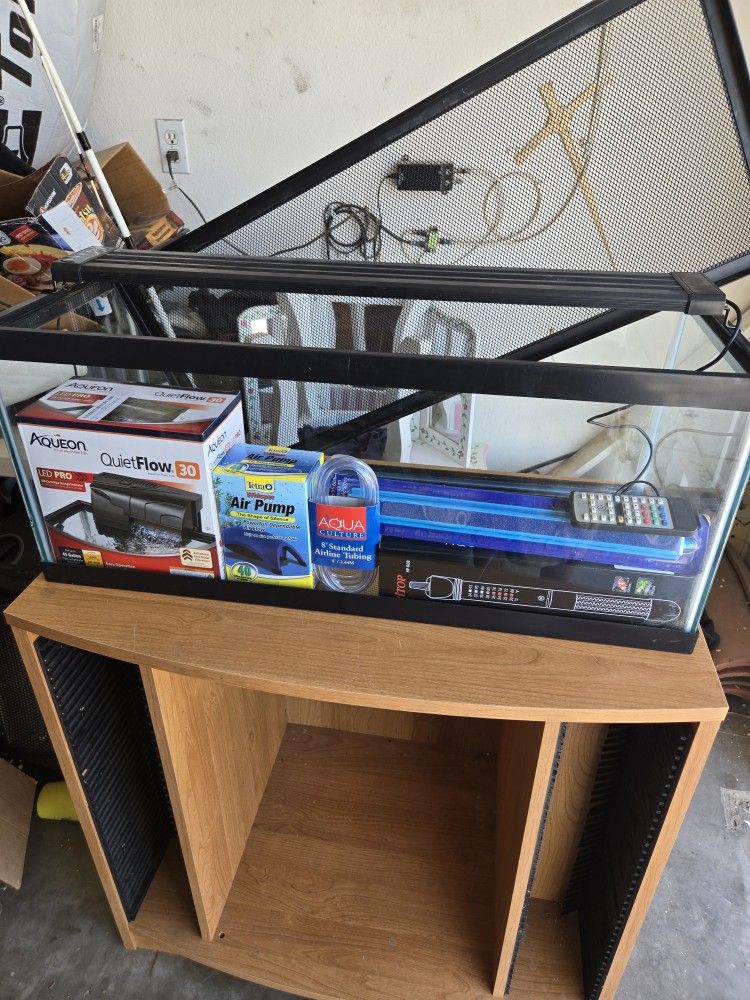 Fish Tank 