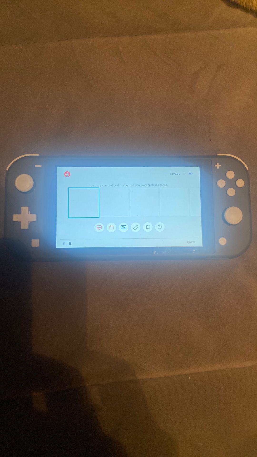Nintendo Switch Lite Gray