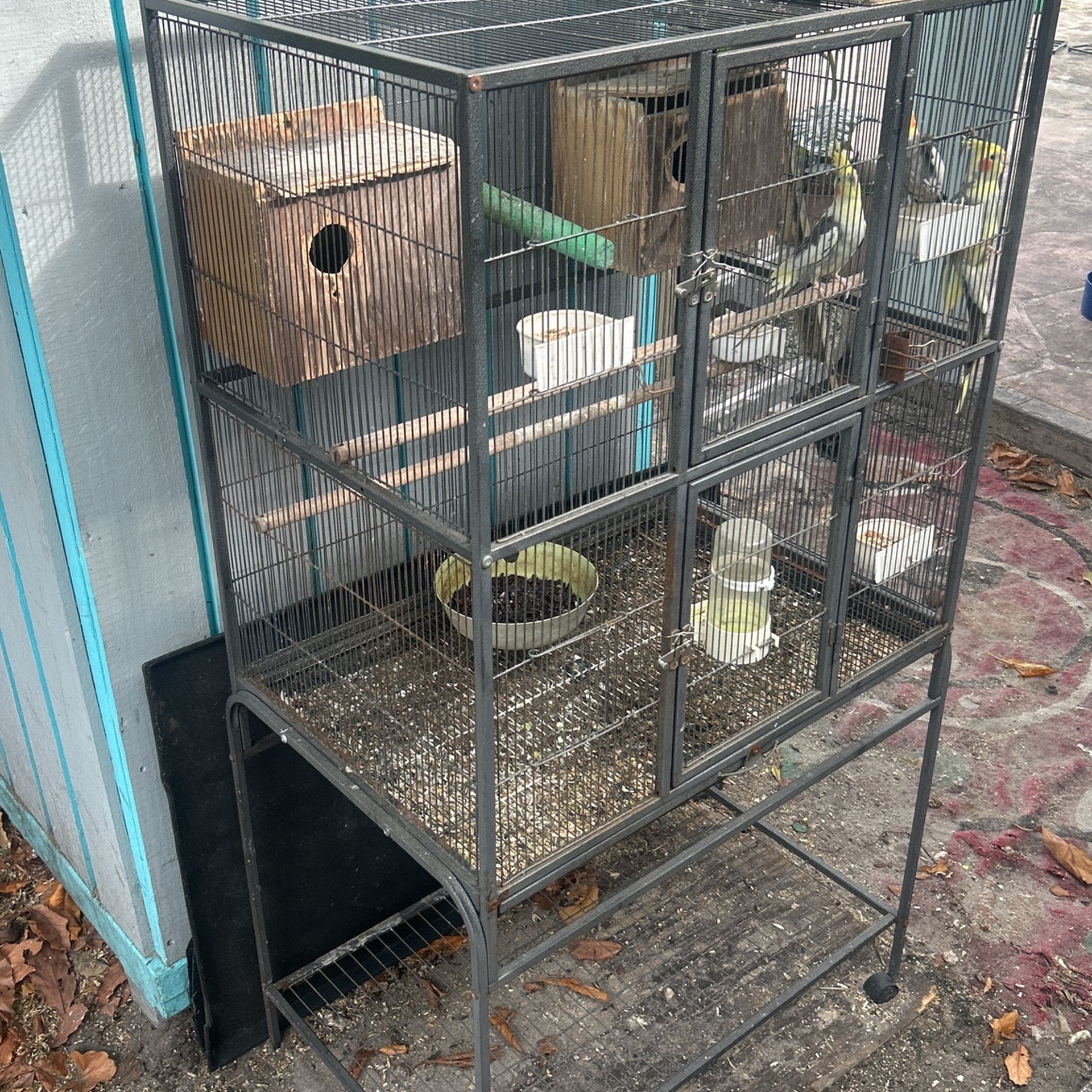 Bird Cage In Perfect Condition
