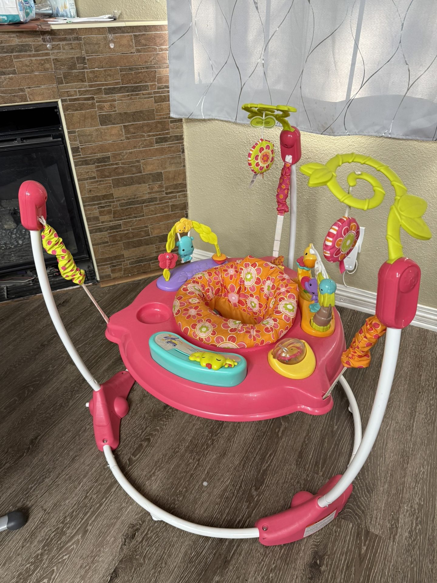 Fisher Price Bouncer