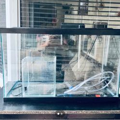 40 Gallon fish tank and Stand 