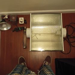 Grow Lights And Timers 