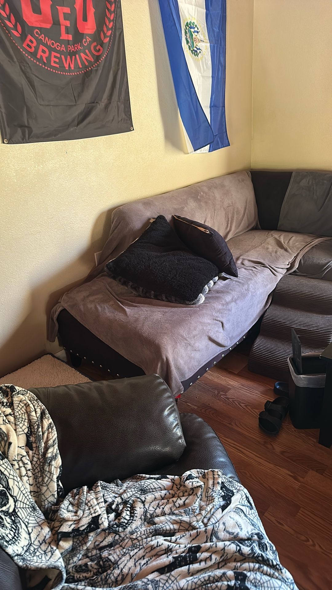 L Shape Couch 
