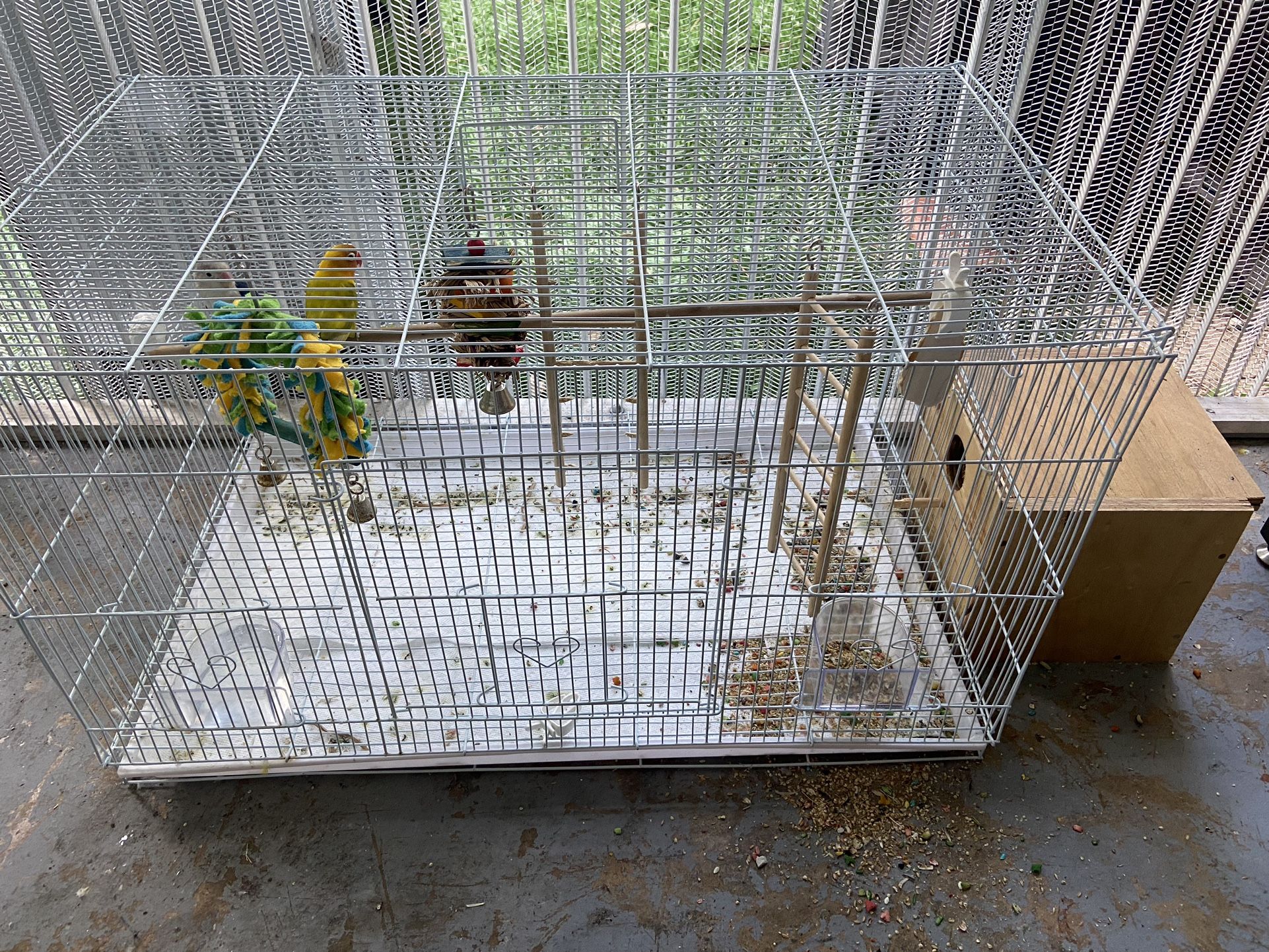 Bird cage For Sale