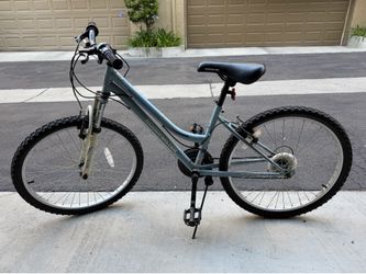 Adult bike