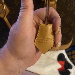 LV Bag