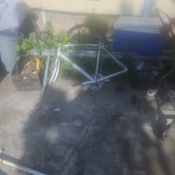 Specialized Bike Frame