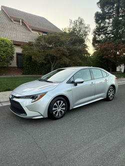 2021 Toyota Corolla LE