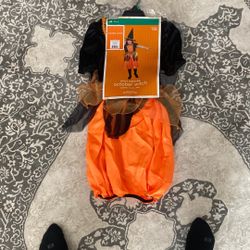 October Witch Costume (Halloween)