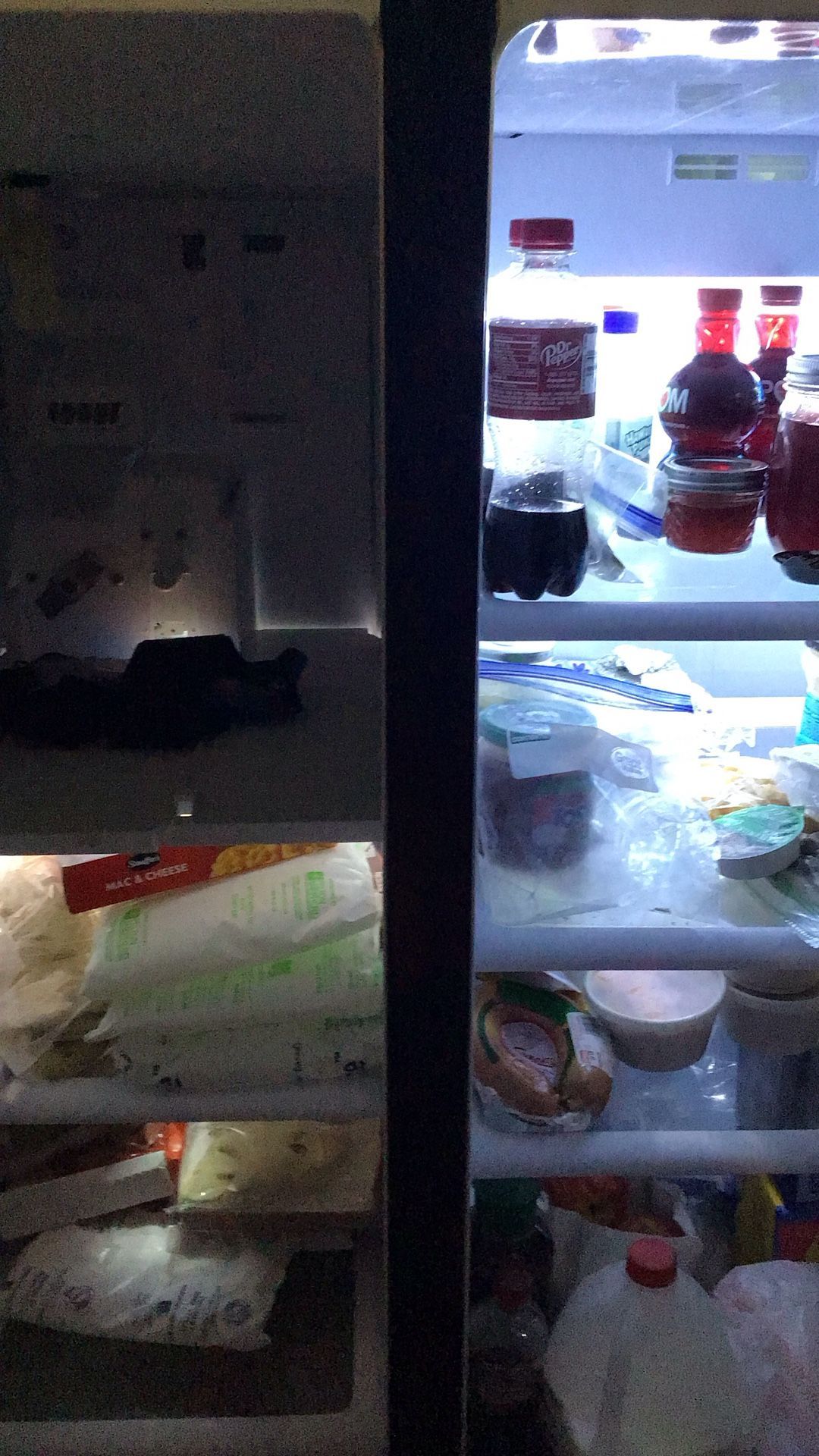 Samsung Refrigerator /Freezer