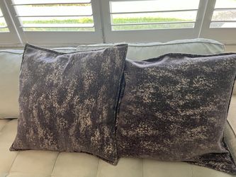Two Large Decorative Pillows From Hobby Lobby