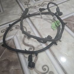 Ford Eggs Cableado Con Sensores De Bomper De Atrás 2023