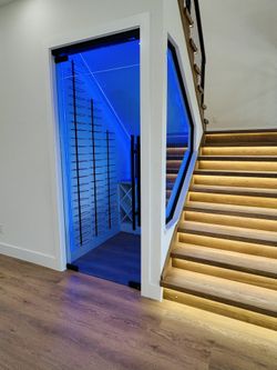 Frameless Shower Glass Door