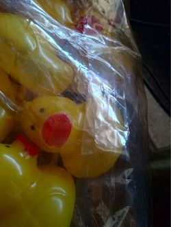 Jeep owner ? String battery operated duck lights