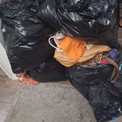 Women's Clothing Bag 
