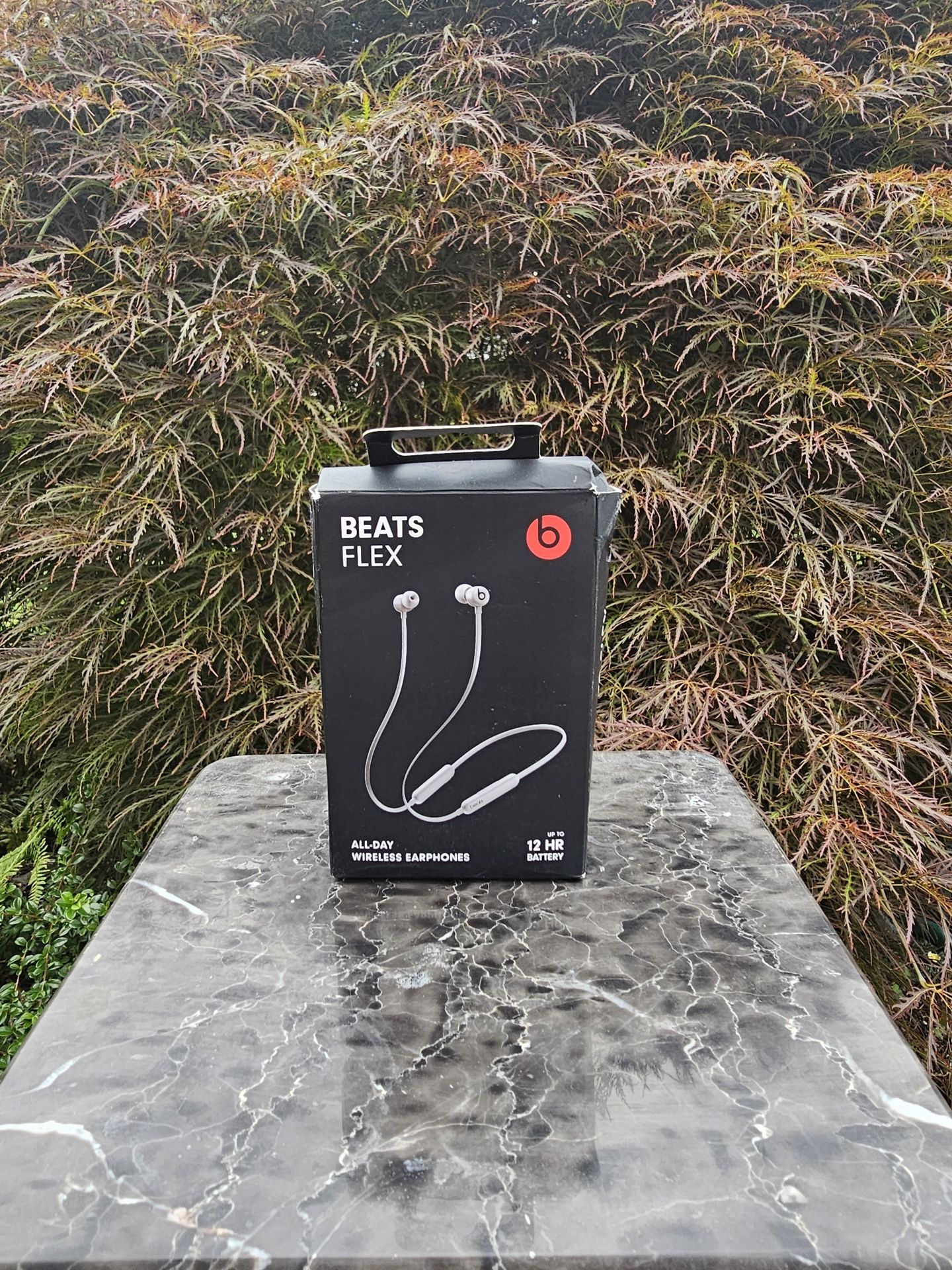 Beats Flex Earphones