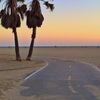 VeniceBeach