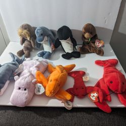 TY Beanie Babies Collection Plush Toys (Sea Creatures And Birds, 21 Items Total)